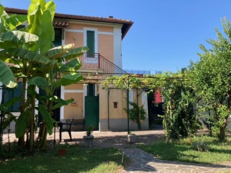 Green house di Alberto - B&B Roma