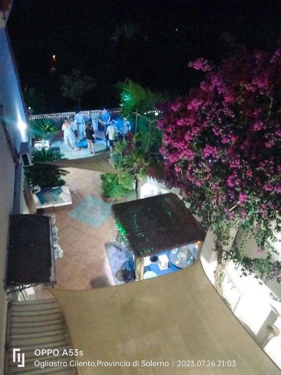 Corte Risco - B&B Ogliastro Cilento