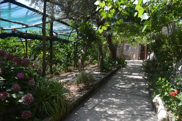 La Petra - B&B Vico Equense