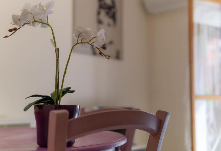 San Domenico Apartments 3 - Casa Vacanze al mare - Bed and Breakfast Pietra Ligure