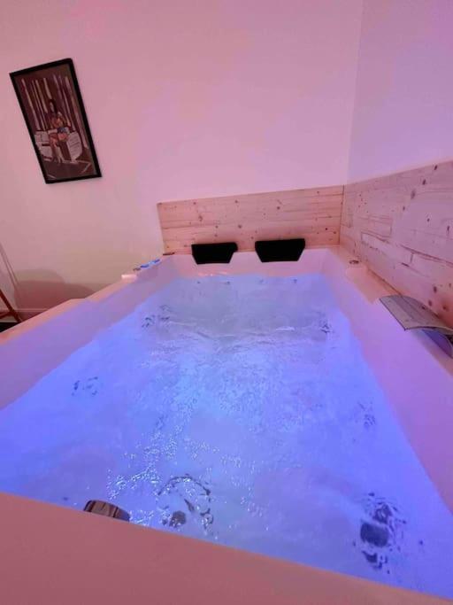 A0 Grand Appartement, Jaccuzi, et extérieur Thermal Artem à 200m - B&B Nancy