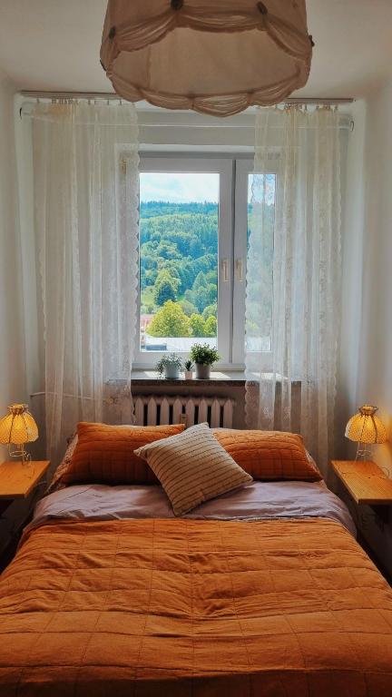 Penthouse Mały Belweder - B&B Ustrzyki Dolne