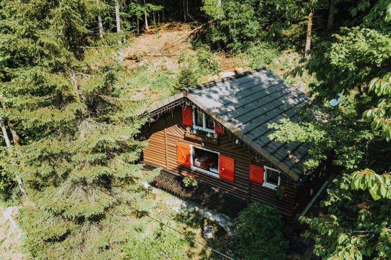 Le Petit Rêve - Lac de Montriond - Ferienwohnung Montriond