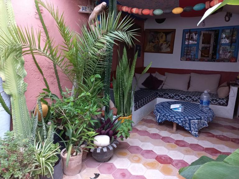 Kasba de l'artiste - B&B Mirleft