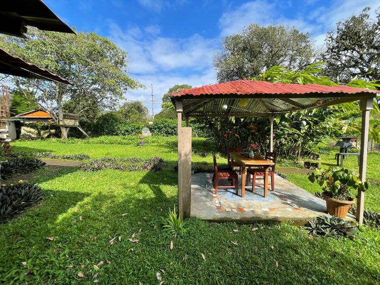 Darwin's temple - B&B El Progreso