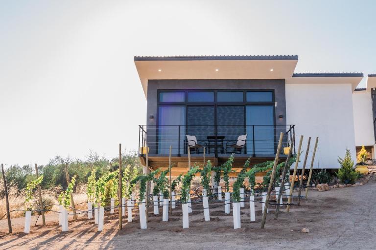 Villa LOAR Valle de Guadalupe - B&B El Porvenir