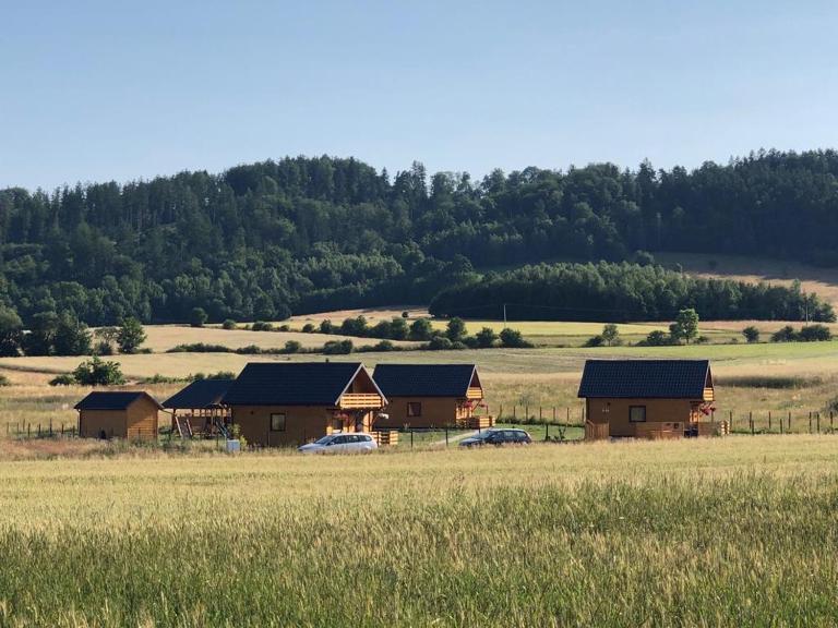 Sielanka pod Czarna Góra - Ferienwohnung Habelschwerdt