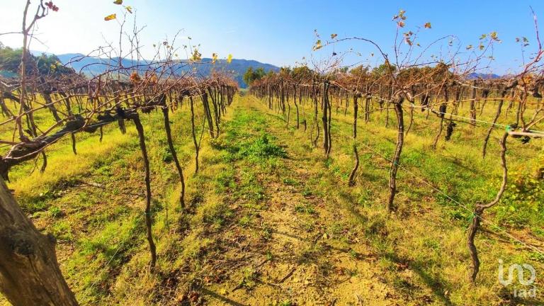 Podere Mona - B&B Pomarance