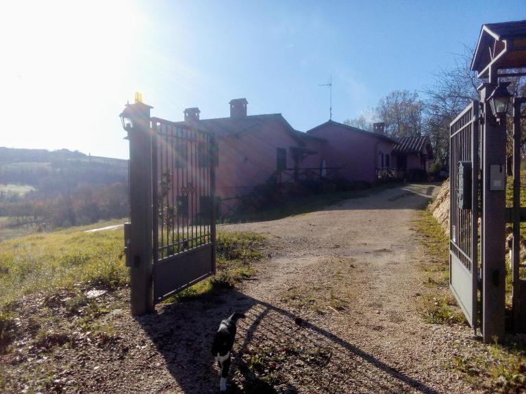 L'Albero degli Struzzi - Bed and Breakfast Penna in Teverina