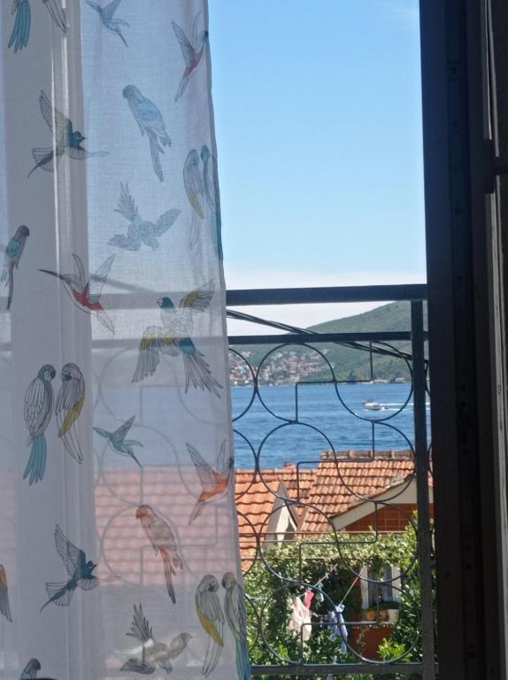 Citrus 2a - B&B Herceg Novi