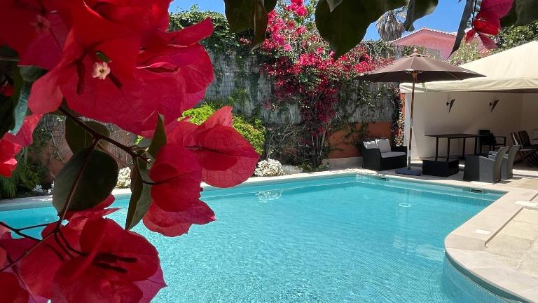 Studio with Private Swimming Pool and Garden - Bed and Breakfast Cascais