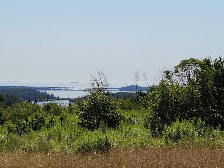 beautiful apartment near the ocean - B&B Guysborough
