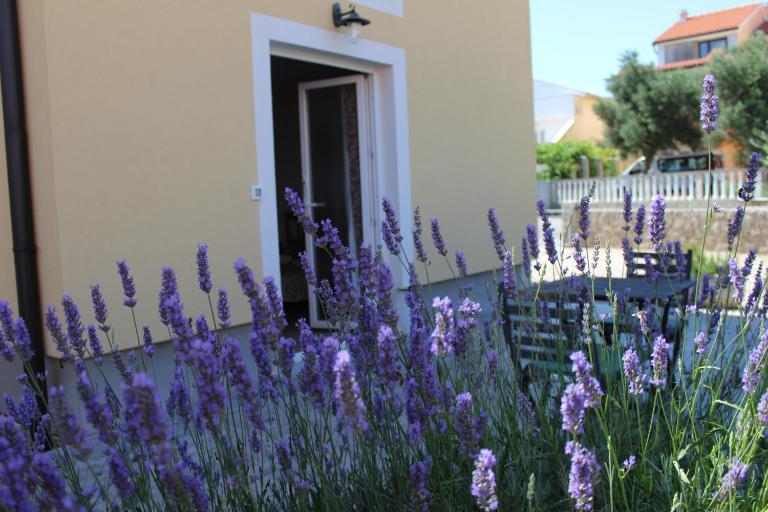 Studio Lavanda in Kornić, Krk - Chambres d'hôtes Kornić
