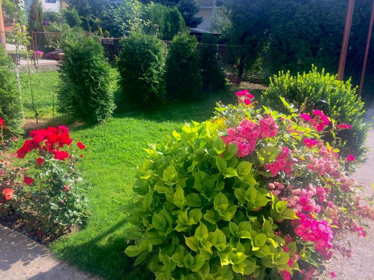 Apartman Balkan - B&B Visoko