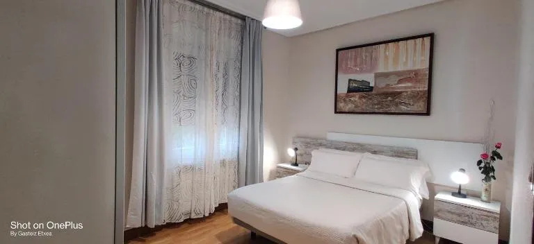 Gasteiz Etxea Il - Bed and Breakfast Vitoria-Gasteiz