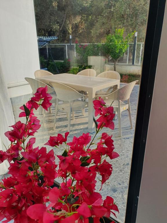 Dreamy luxury duplex villa with a special view and 300 meters of private garden - B&B Alanya