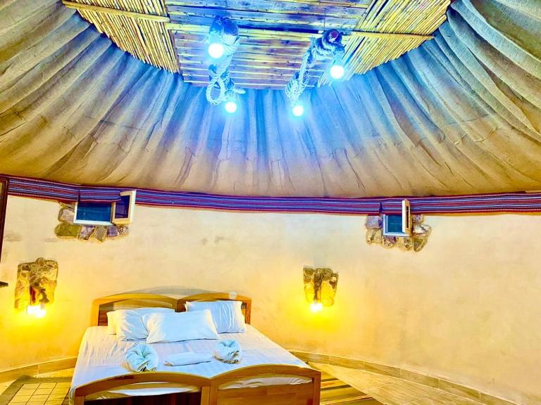 Pink city cottage - B&B Petra