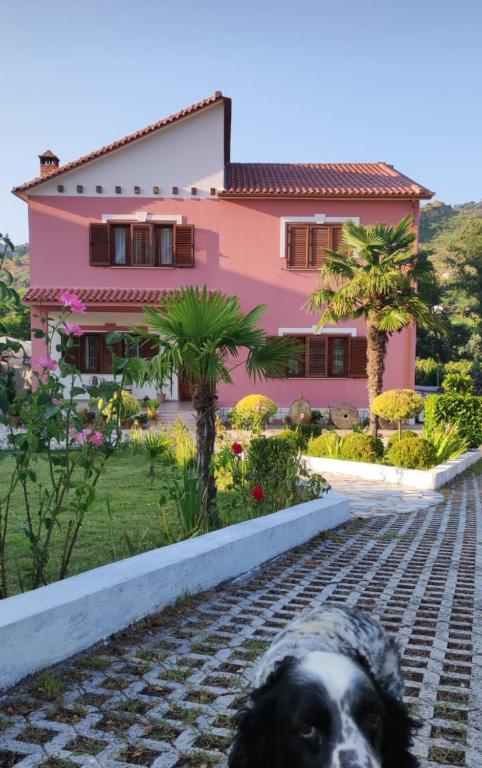 Guesthouse Ndroq - B&B Ndroq