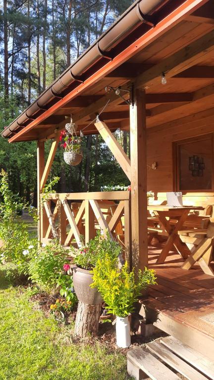 Pasieka Dobro i Smak - B&B Borzymy