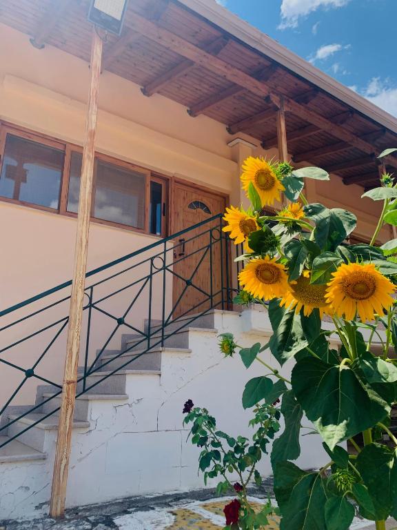 BOKAS EXOTIC HOUSE - B&B Tragána