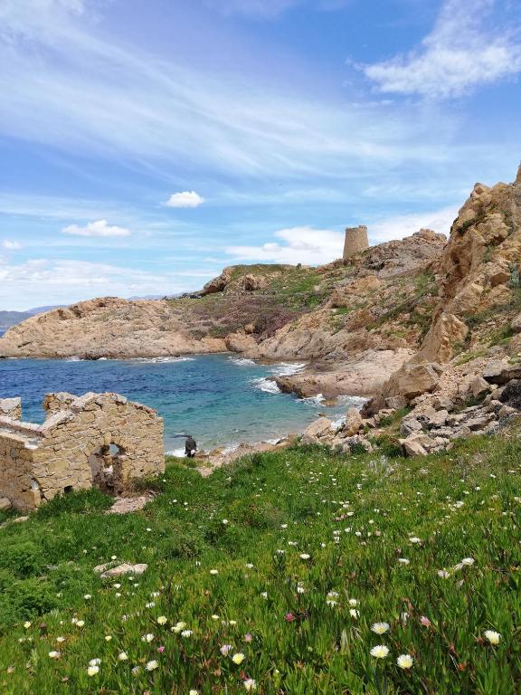 Joli appartement en Corse avec piscine - B&B Belgodere