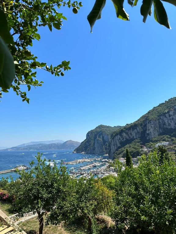 Depandance Casa Paolina - B&B Capri città