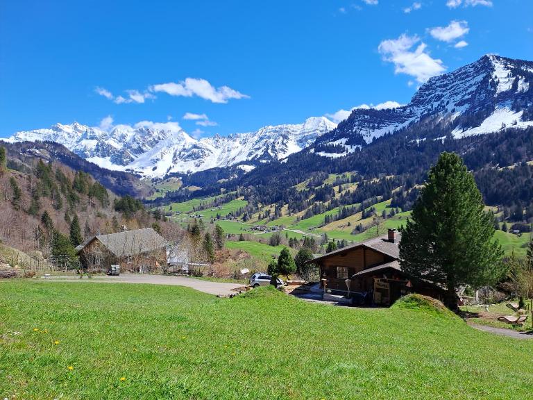 Cosy Swiss Chalet Chnorz Rooms - B&B Nesslau