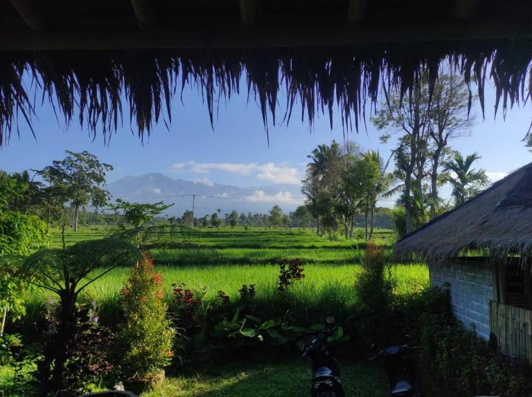 New Rinjani Homestay - B&B Tetebatu