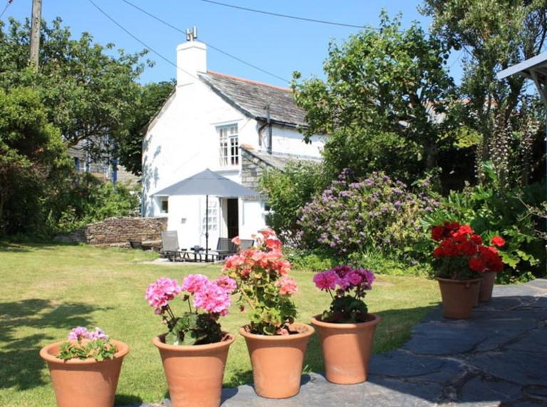 Brook Cottage is a traditional fisherman's cottage - Chambres d'hôtes Port Isaac
