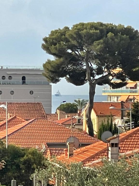 3 pièces au cœur du cros de cagnes - Ferienwohnung Cagnes-sur-Mer