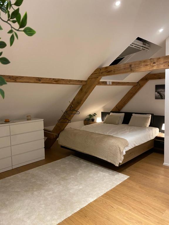 Eine schöne Wohnung an der Birs - Chambres d'hôtes Bâle