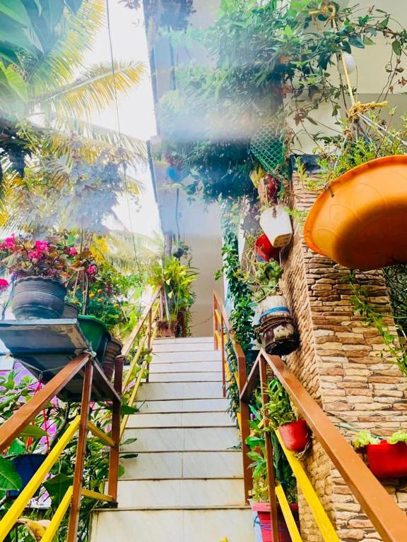 Mountain View Homestay - Bed and Breakfast Thekkadi
