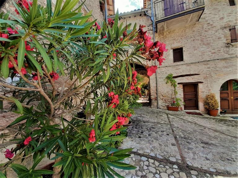 Eremo di Santo Apollinare - Ferienwohnung Messenano