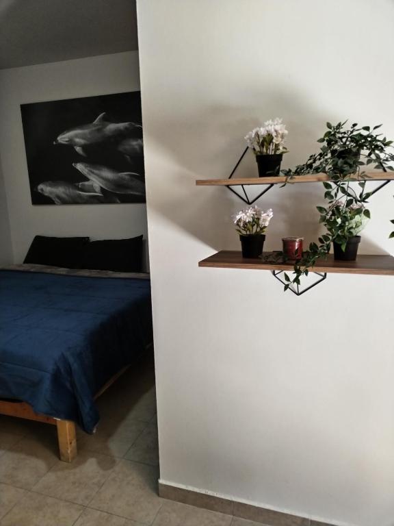 Hospedaje "La Gloria" - Bed and Breakfast Texcoco