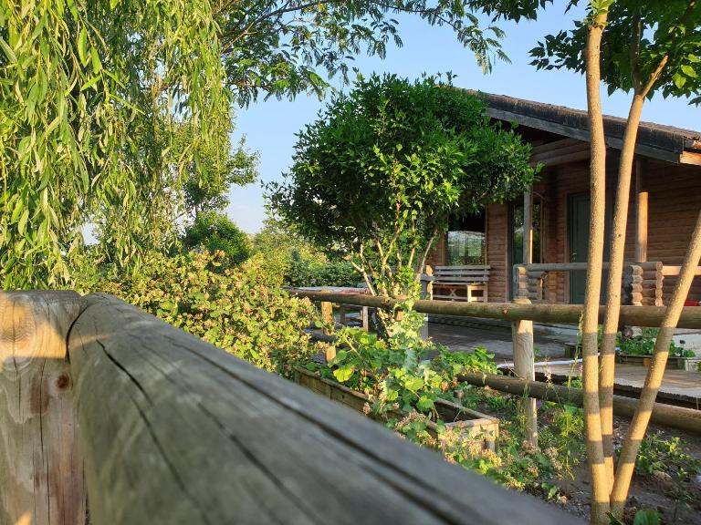 Lake Side - Lângă Lac - B&B Dunavățu de Jos