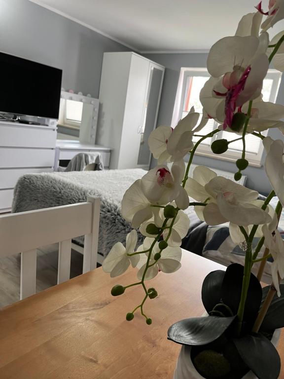 Pokoje gościnne U Sylwii - B&B Jarosławiec