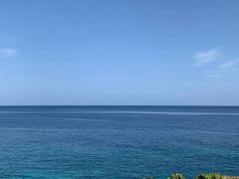 Irie Vibes Ocean View - B&B Negril
