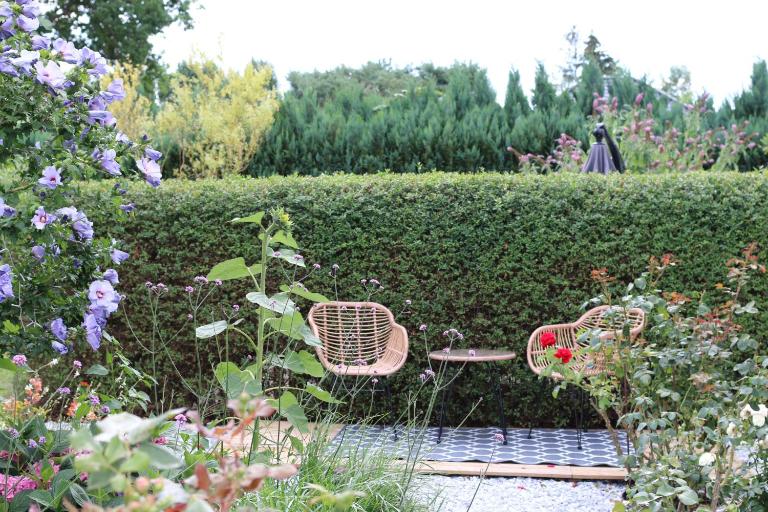 Ferienwohnung _Solaris_ - B&B Heringsdorf
