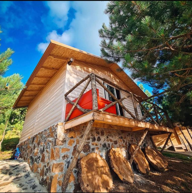 BioFarm Gramsh - B&B Kodovjat