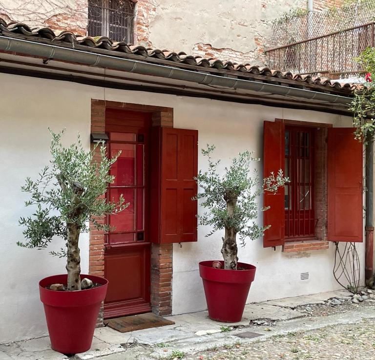 Petite chartreuse calme en plein coeur de Toulouse - Bed and Breakfast Toulouse