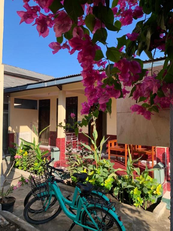 Lisa Homestay - B&B Gili Trawangan