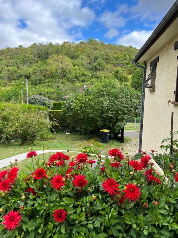 Maison chaleureuse dans un écrin de verdure - Bed and Breakfast Vézillon