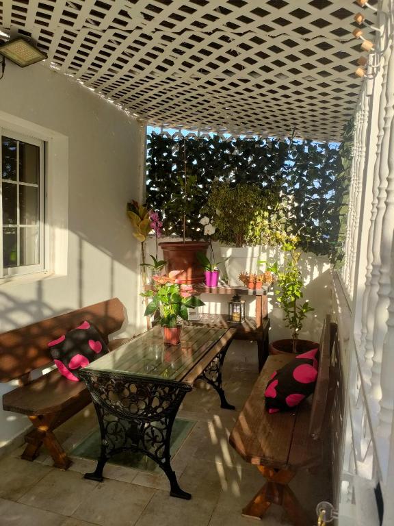 Alba 2 apartamento y Alba 3 habitación con baño - B&B Puerto del Rosario