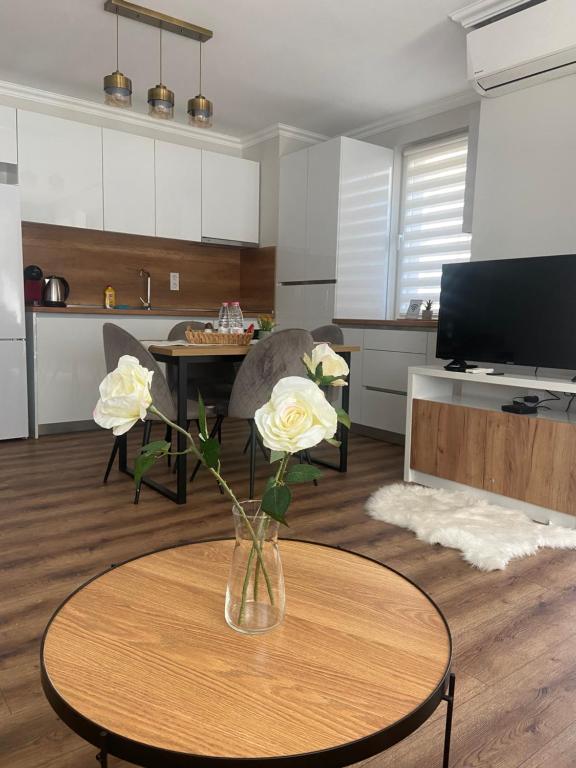 M&M Center Apartment with free parking - Ferienwohnung Plowdiw
