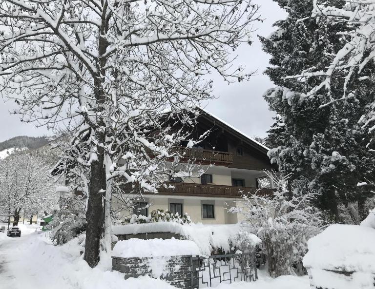 Amadee Appartements - Kärnten Card im Sommer inklusive - B&B Bad Kleinkirchheim