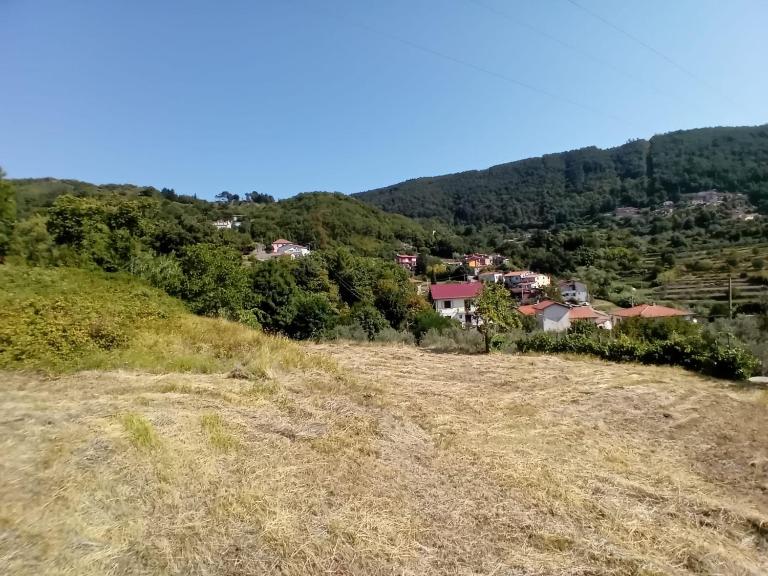 Appartamento Il Salice - B&B Carignano