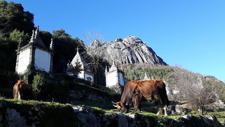 Penedino Mountain Cottage - B&B Arcos de Valdevez