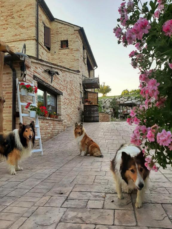 Il Casale dell'Acquabona - B&B Montefano