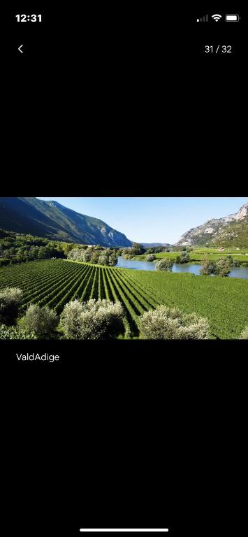 [The window On The Valdadige] Sport and Nature - Chambres d'hôtes Ceraino