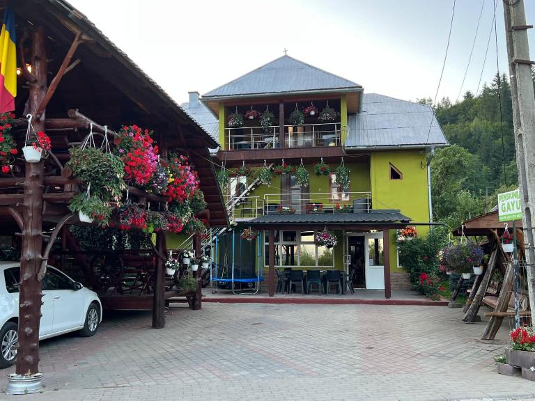 Pensiunea Gaiu - B&B Albac